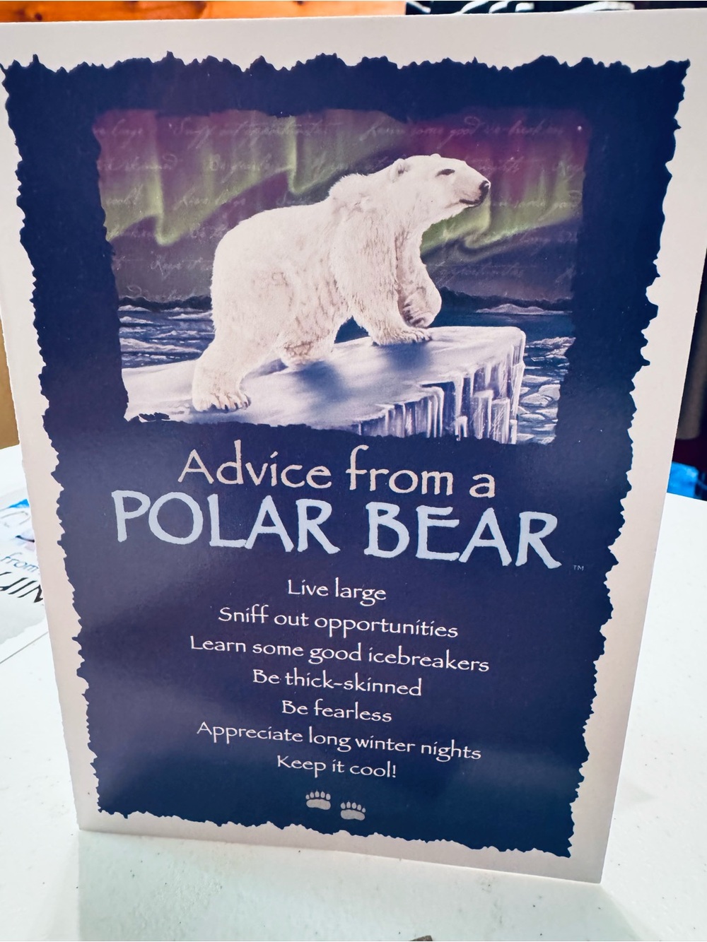 Advice from a Polar Bear,Penguin,Glacier& Sea Turtle Art Print Greeting Card Set - Picture 6 of 13